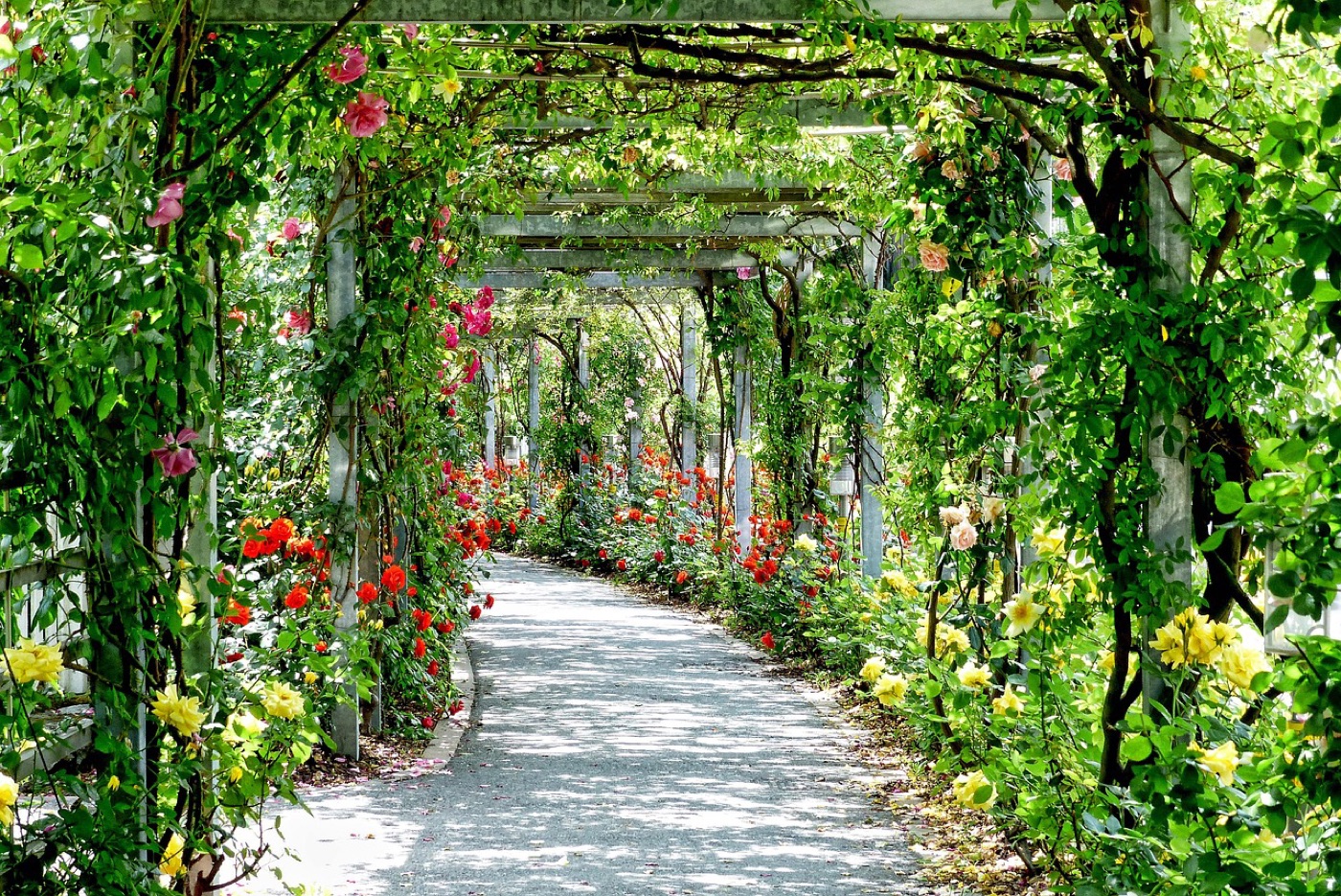 A green garden pergola pathway