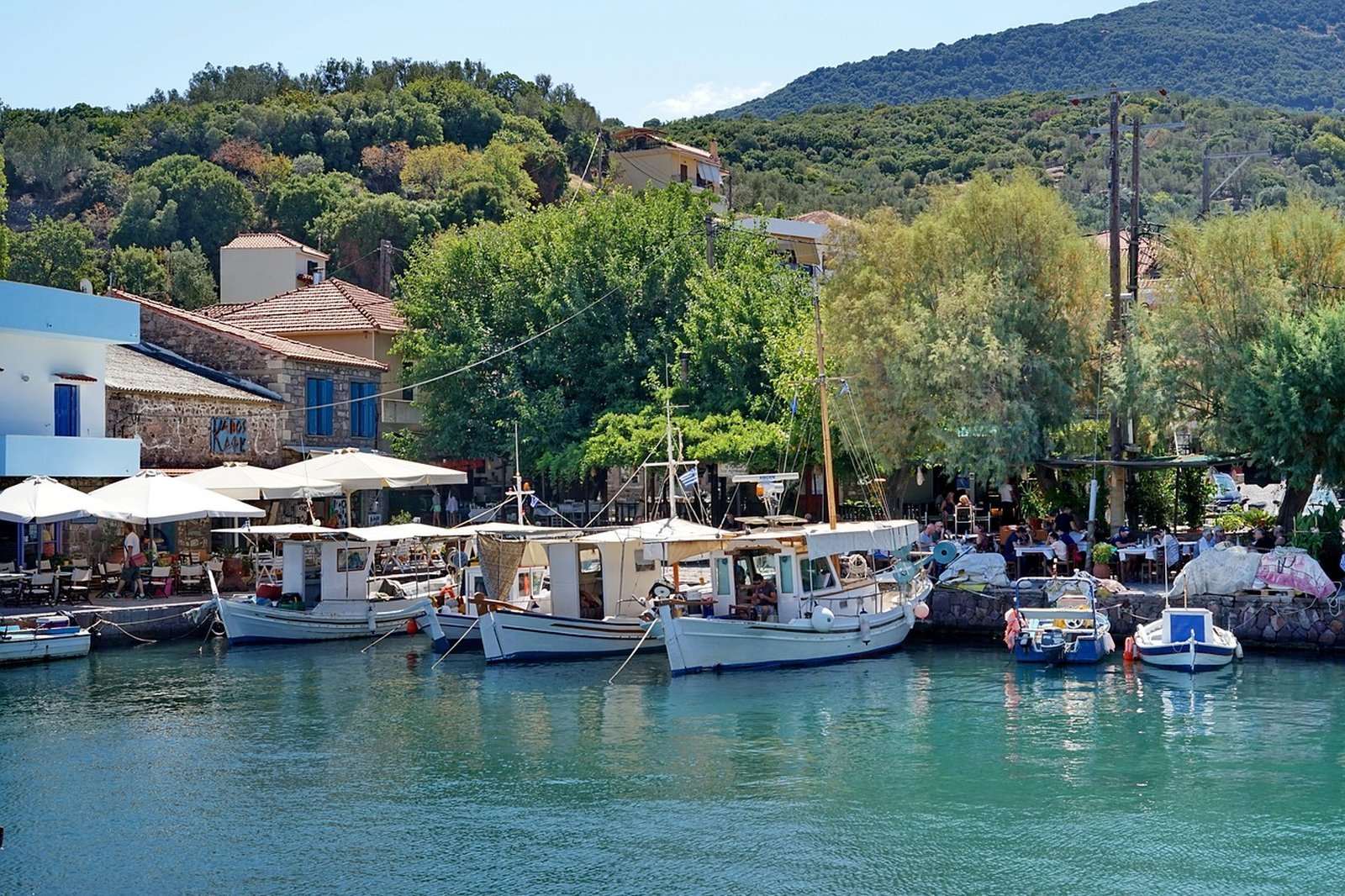 A Greek fishing harbour with boats and waterfront tavernas